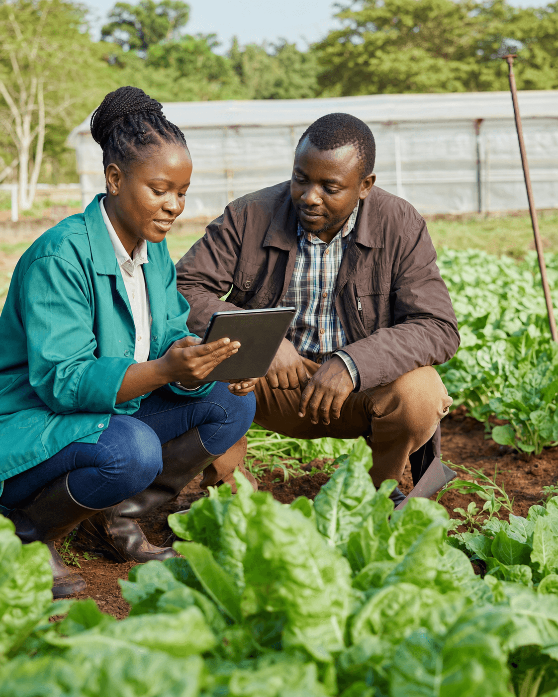 An agronomist and farmer reviewing crop information together on a tablet